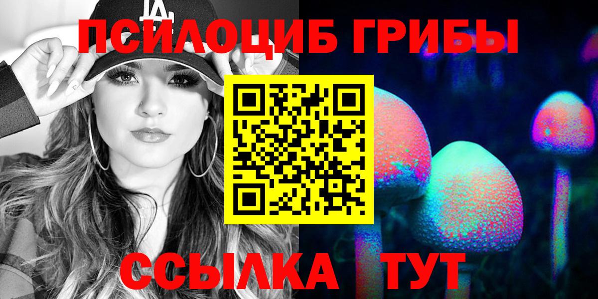Псилоцибиновые грибы Cubensis Кирово-Чепецк